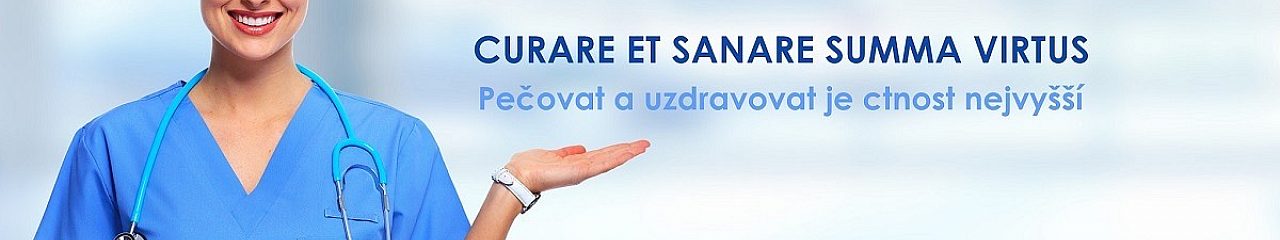 Pozadí profilu MDDr. Mgr. Michaela Pilveinová